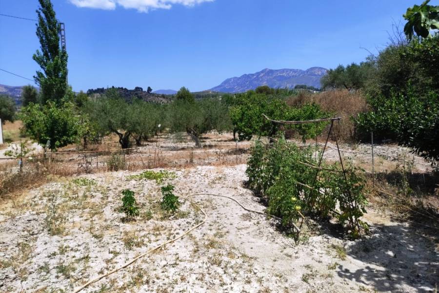 For sale - Country House - Benifallim