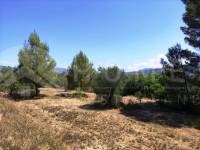 For sale - Country House - Planes