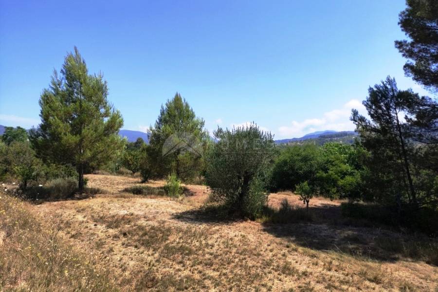 For sale - Country House - Planes