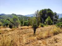 For sale - Country House - Planes