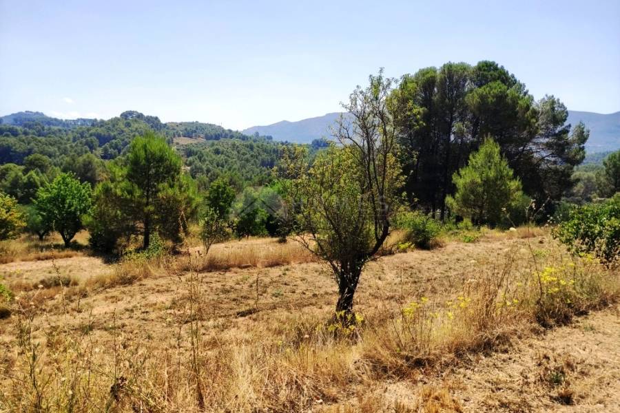 For sale - Country House - Planes