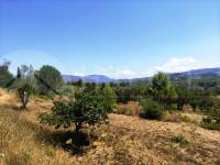 For sale - Country House - Planes