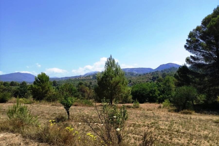 For sale - Country House - Planes