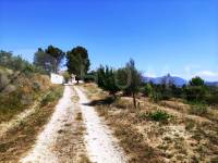 For sale - Country House - Planes