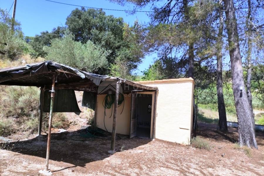 For sale - Country House - Planes