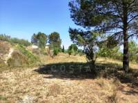 For sale - Country House - Planes