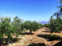For sale - Country House - Cocentaina