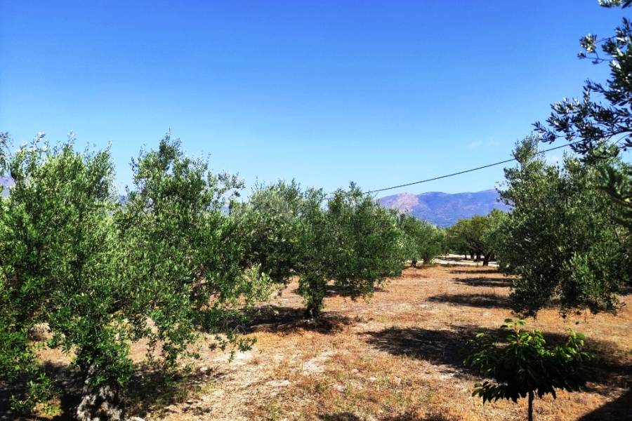For sale - Country House - Cocentaina
