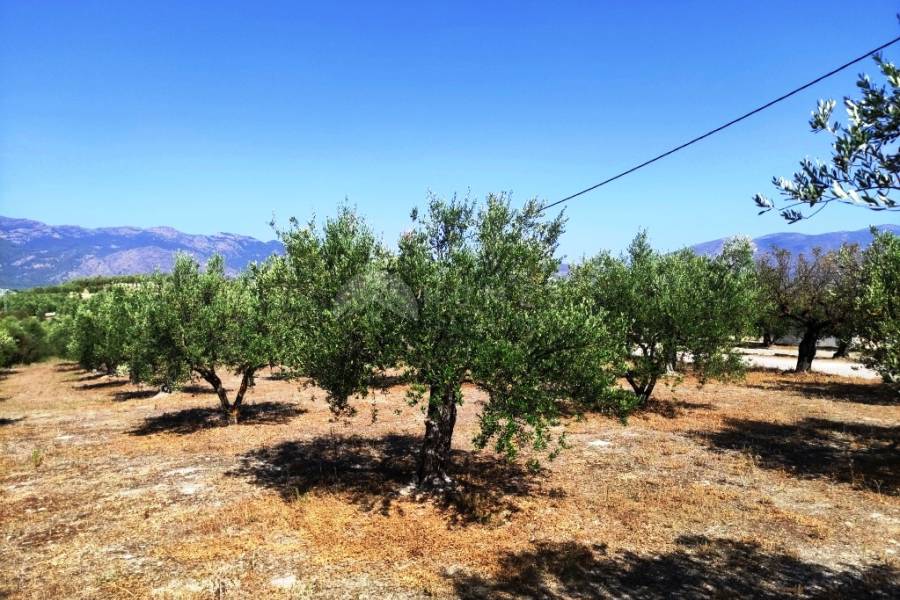 For sale - Country House - Cocentaina