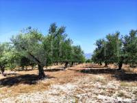 For sale - Country House - Cocentaina