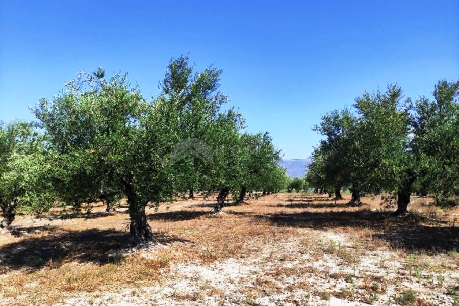 For sale - Country House - Cocentaina