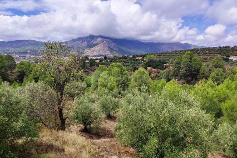 For sale - Country House - Cocentaina